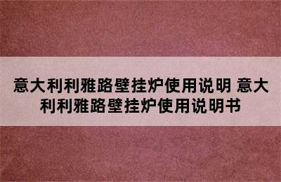 意大利利雅路壁挂炉使用说明 意大利利雅路壁挂炉使用说明书